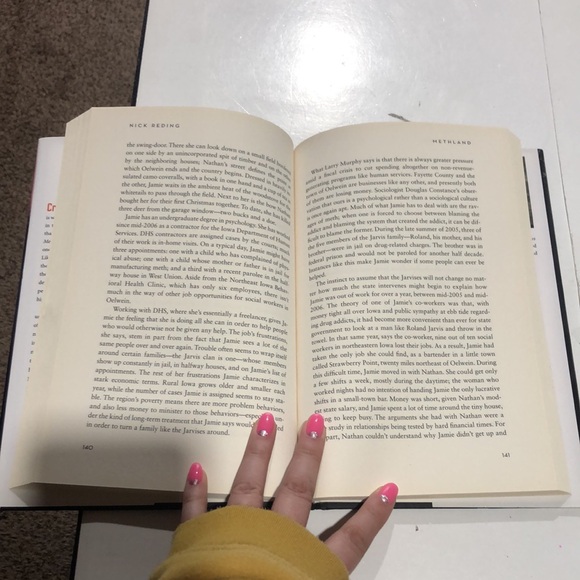 Methland The Death and Life of an American Small Town by Nick Reding - Picture 6 of 6